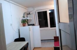 Garsoniera, 20 mp, etaj intermediar, zona Bulevardul Muncii