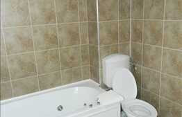 Vanzare 3 camere, 81 mp, terasa 100 mp utili, zona strazii Portelanului!