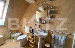 Spatiu comercial 210mp+80mp terasa in Piata Muzeului