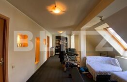 Spatiu comercial 210mp+80mp terasa in Piata Muzeului