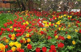 Casa in zona semicentrala, 61 mp utili, curte proprie