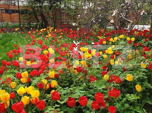 Casa de vânzare 2 camere Semicentral - 109941CV | BLITZ Cluj-Napoca | Poza1