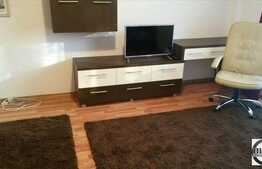 1 camera, 40 mp, mobilat modern, totul nou, zona Iulius Mall! Prima inchirere!