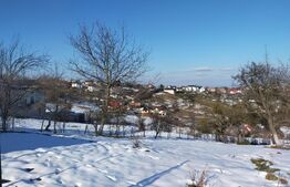 TEREN intravilan cu PUZ in lucru pentru 5 case,6500 mp in Feleacu