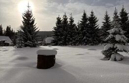 Teren pentru cabana, 2368 mp, Smida 