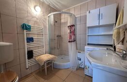 Apartament la casa, 40mp, curte, zona strazii Corneliu Coposu