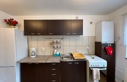 Apartament la casa, 40mp, curte, zona strazii Corneliu Coposu
