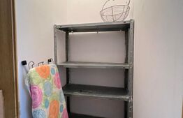 Apartament la casa, 40mp, curte, zona strazii Corneliu Coposu