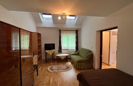 Apartament la casa, 40mp, curte, zona strazii Corneliu Coposu