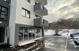 COMISION 0! Spatiu comercial cu potential, 200 mp, ideal pentru investitie sau activitati proprii, zona Stejarului