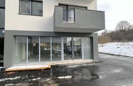 COMISION 0! Spatiu comercial cu potential, 200 mp, ideal pentru investitie sau activitati proprii, zona Stejarului