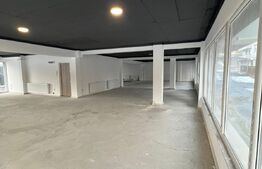 COMISION 0! Spatiu comercial cu potential, 200 mp, ideal pentru investitie sau activitati proprii, zona Stejarului