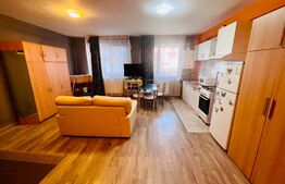 Garsoniera, zona Subcetate, parter!