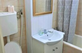 Garsoniera, 30 mp, decomandata, etaj intermediar, zona Detunata