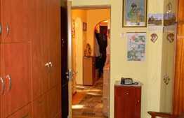Apartament 2 camere, 40 mp utili, nemobilat, zona strazii Clabucet