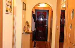 Apartament 2 camere, 40 mp utili, nemobilat, zona strazii Clabucet