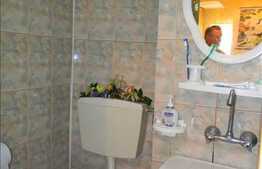 Apartament 2 camere, 40 mp utili, nemobilat, zona strazii Clabucet