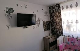 Apartament 2 camere, 55 mp, etaj intermediar, Exterior Vest