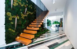 Casa individuala  de lux in Faget cu teren de 930 mp