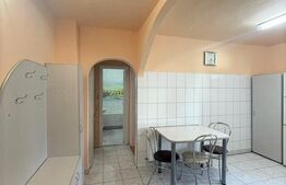 Apartament 2 camere, decomandat, 46 mp, zona strazii Primaverii 