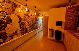 Showroom superfinisat, zona excelenta 