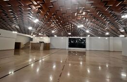 Showroom superfinisat, zona excelenta 