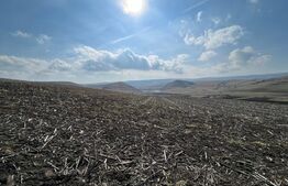 Teren Intravilan la intrare in satul Pata 5700mp la principala 