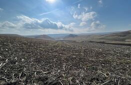 Teren Intravilan la intrare in satul Pata 5700mp la principala 