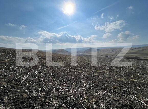 Teren de vânzare Pata - 110380TV | BLITZ Cluj-Napoca | Poza3