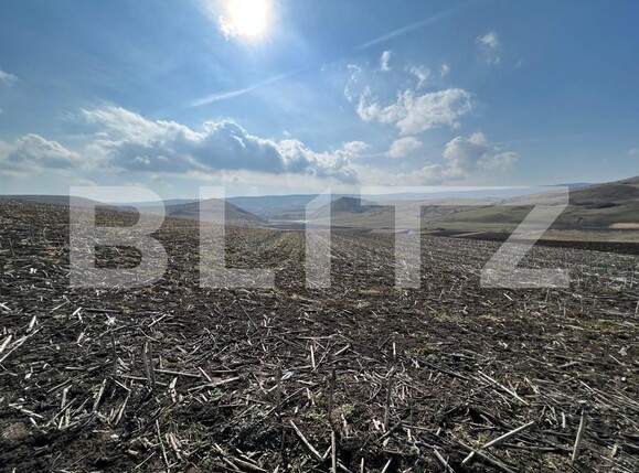 Teren de vânzare Pata - 110380TV | BLITZ Cluj-Napoca | Poza1