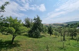 Oportunitate ! Teren intravilan construibil, 1575 mp, Feleacu !