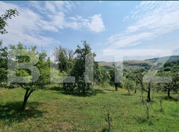 Teren de vânzare Feleacu - 110397TV | BLITZ Cluj-Napoca | Poza3