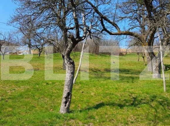 Teren de vânzare Feleacu - 110397TV | BLITZ Cluj-Napoca | Poza1