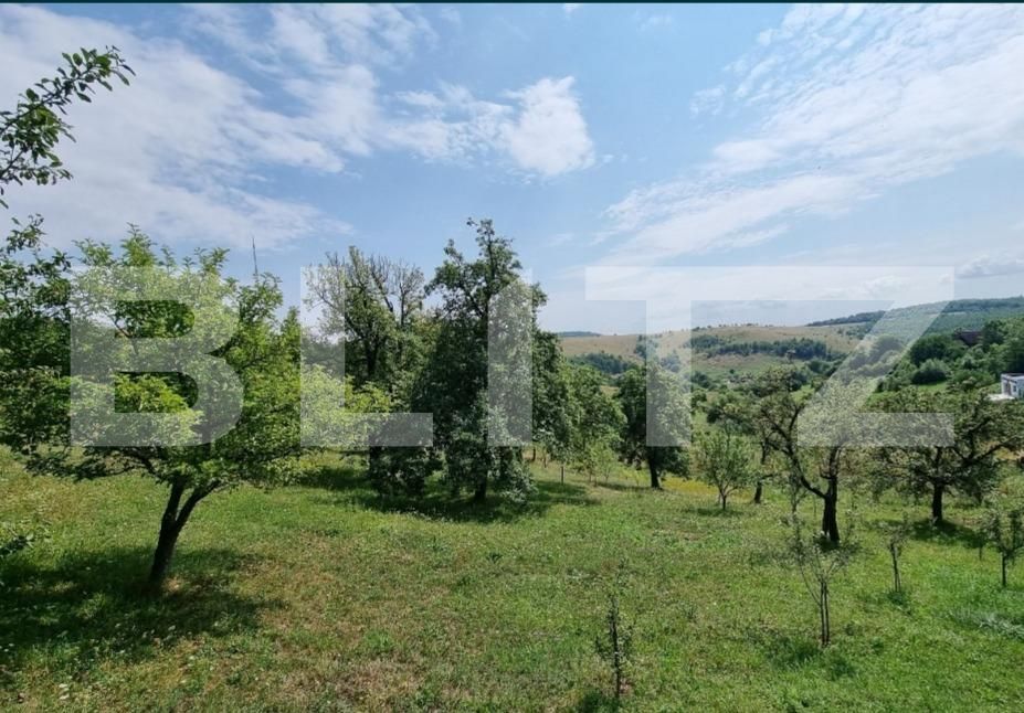 Teren de vânzare Feleacu - 110397TV | BLITZ Cluj-Napoca | Poza3