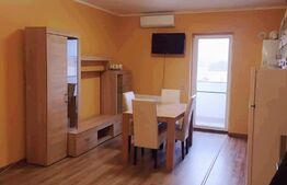 Apartament de 2 camere mobilat, zona centrala/Eroilor