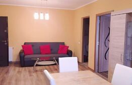 Apartament de 2 camere mobilat, zona centrala/Eroilor