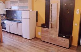 Apartament de 2 camere mobilat, zona centrala/Eroilor