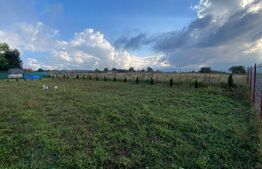 Oferta! Teren cu autorizatie in Balcesti, Capusu mare.