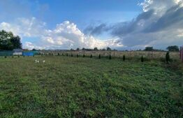 Oferta! Teren cu autorizatie in Balcesti, Capusu mare.