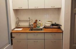 Garsoniera, 30 mp, zona Ultracentrala