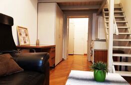 Garsoniera, 30 mp, zona Ultracentrala