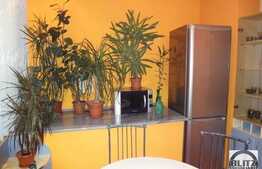 Apartament 2 camere, 70 mp, recent renovat, zona Piata Mihai Viteazu