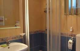 Apartament 2 camere, 70 mp, recent renovat, zona Piata Mihai Viteazu