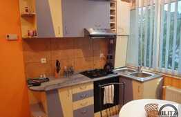 Apartament 2 camere, 70 mp, recent renovat, zona Piata Mihai Viteazu