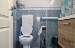 Spatiu comercial, 68 mp, zona strazii Padurii, Zorilor