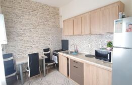 2 apartamente la cheie, 100 mp utili, 320 mp teren, Dambu Rotund