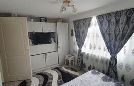 2 apartamente la cheie, 100 mp utili, 320 mp teren, Dambu Rotund