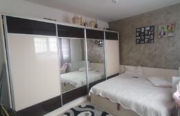 2 apartamente la cheie, 100 mp utili, 320 mp teren, Dambu Rotund