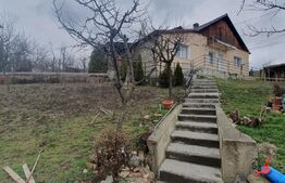 2 apartamente la cheie, 100 mp utili, 320 mp teren, Dambu Rotund