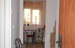Apartament 1 camera, 30 mp utili, imobil izolat exterior, complet mobilat!